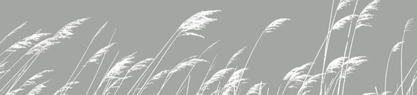 GM12 Gräser im Wind