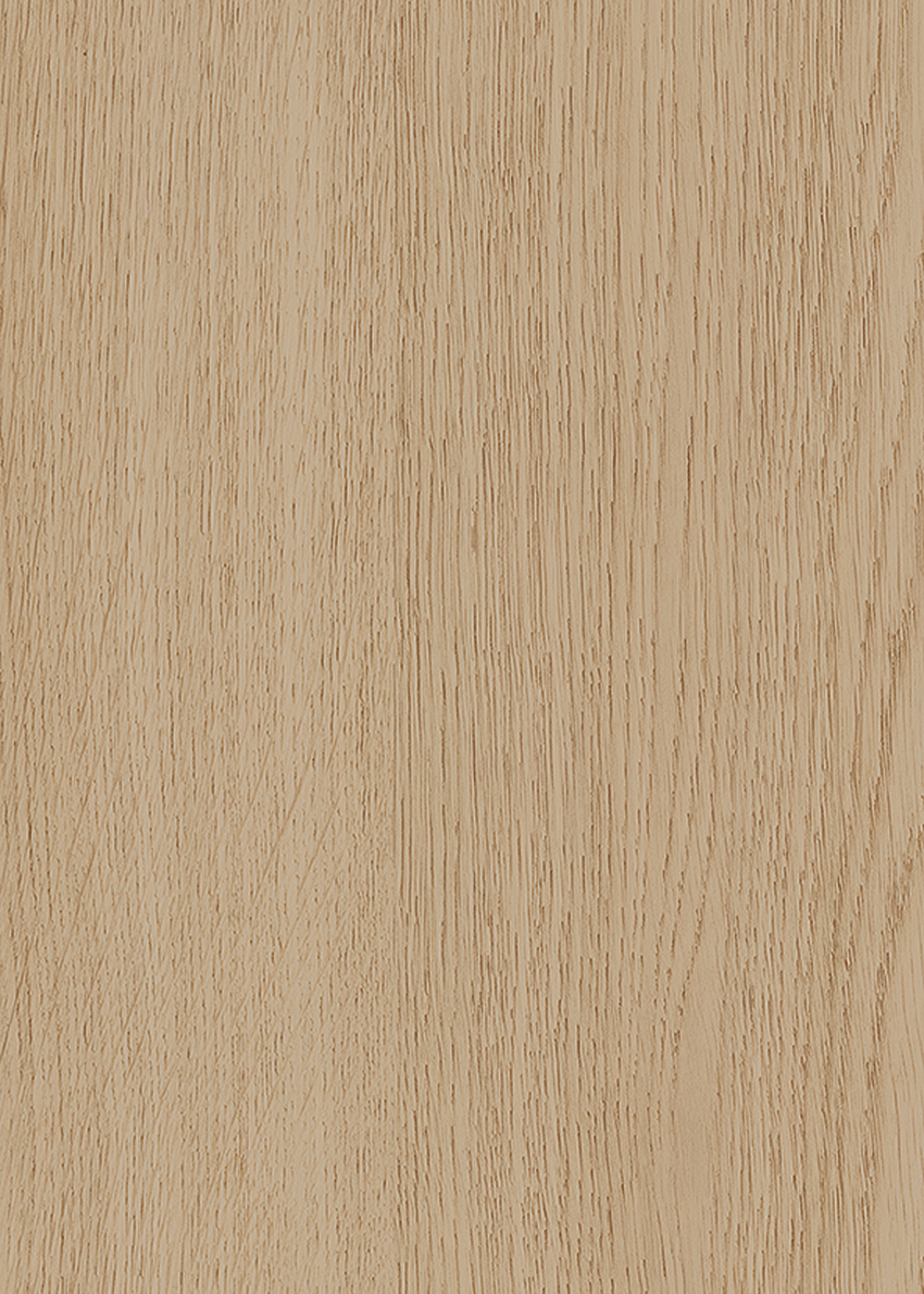 K820 Sandeiche Nachbildung